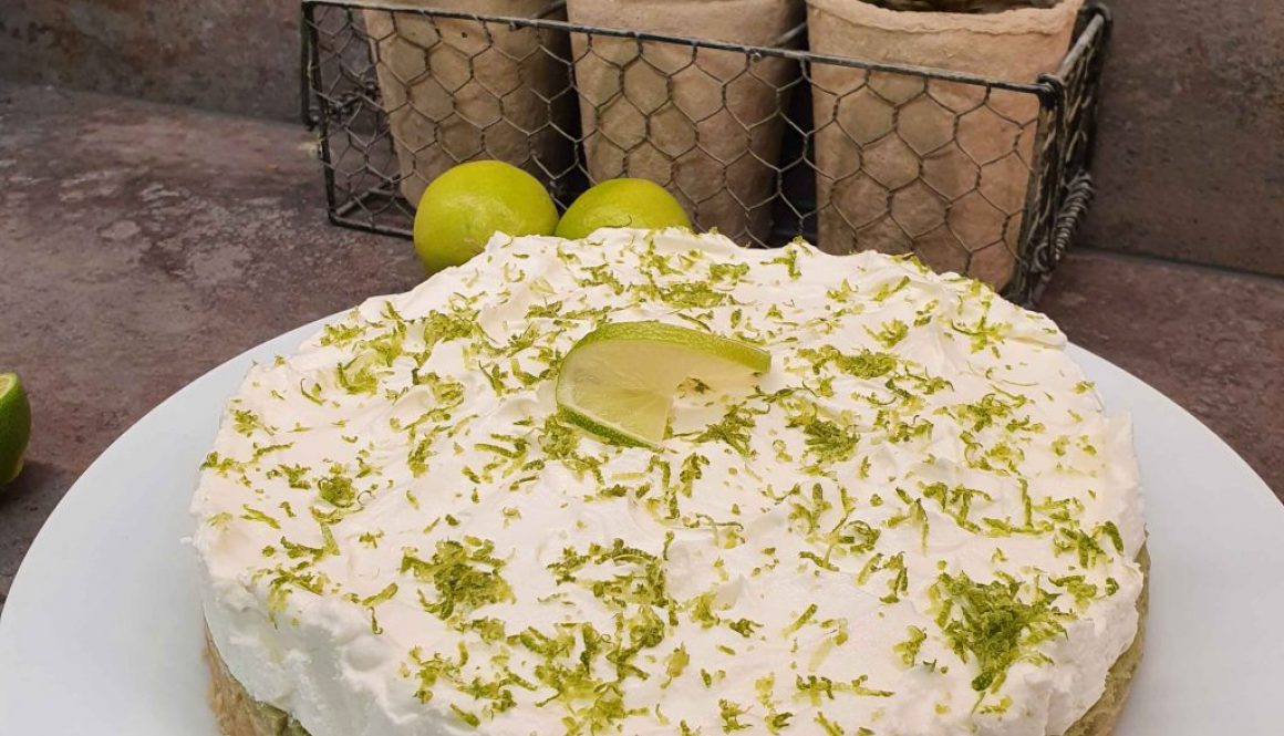 Avocado Lime Cream Pie
